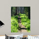 Trail through Woods Wall Decal