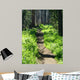 Trail through Woods Wall Decal