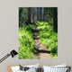 Trail through Woods Wall Decal