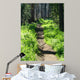 Trail through Woods Wall Decal