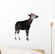 Okapi Wall Decal