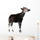 Okapi Wall Decal