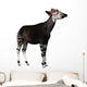 Okapi Wall Decal