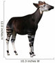 Okapi Wall Decal