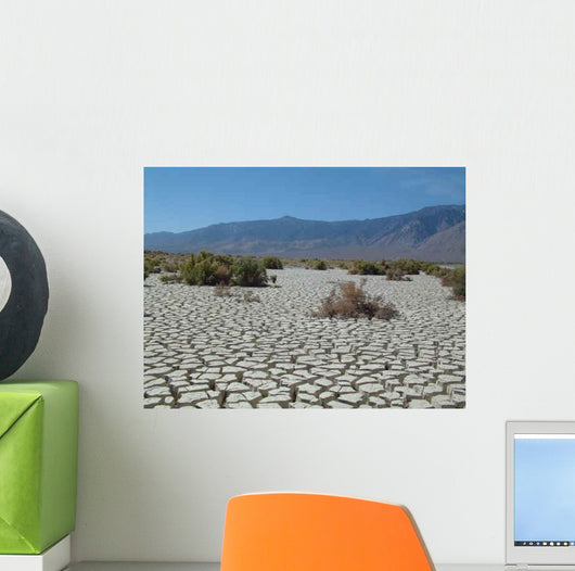 Death Valley Dry Lake Wall Decal