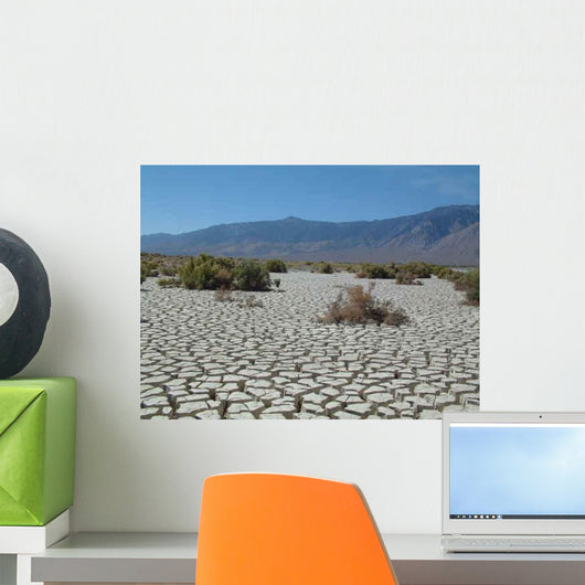 Death Valley Dry Lake Wall Decal