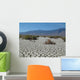 Death Valley Dry Lake Wall Decal