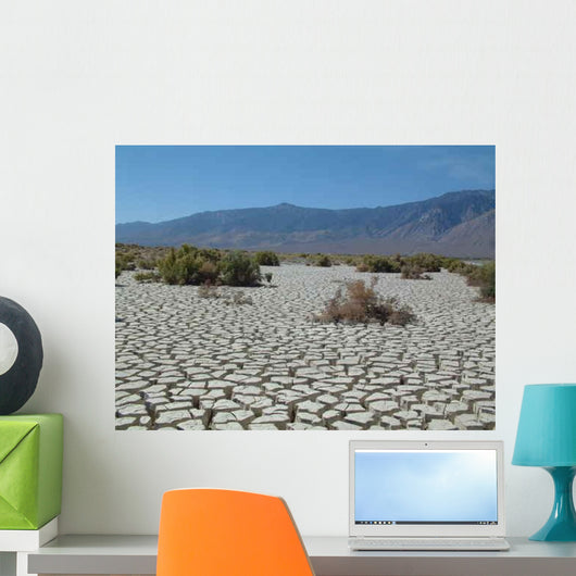 Death Valley Dry Lake Wall Decal