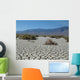 Death Valley Dry Lake Wall Decal
