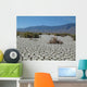 Death Valley Dry Lake Wall Decal