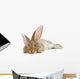 Rabbit Wall Decal Design 2