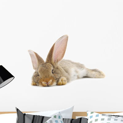 Rabbit Wall Decal Design 2 shown on a wall