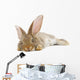 Rabbit Wall Decal Design 2