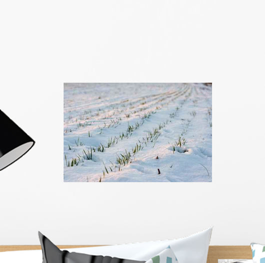 Agricultural Field Covered Snow Wall Decal