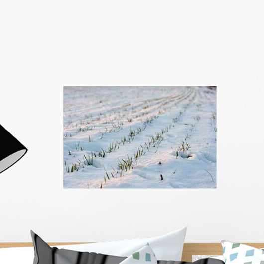Agricultural Field Covered Snow Wall Decal