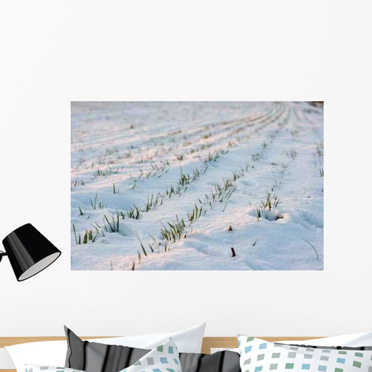 Agricultural Field Covered Snow Wall Decal