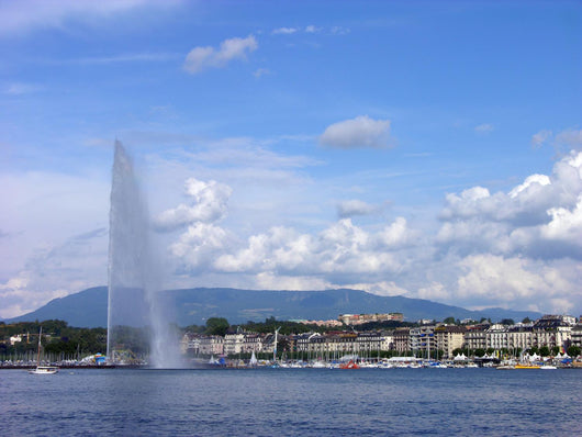 Jet D'eau Geneva City Wall Decal
