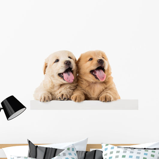 Fluffy Chow-chow Puppy Wall Decal