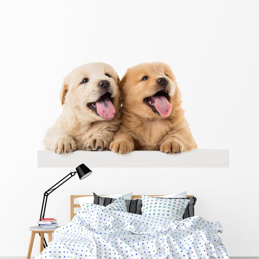 Fluffy Chow-chow Puppy Wall Decal