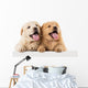 Fluffy Chow-chow Puppy Wall Decal