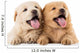 Fluffy Chow-chow Puppy Wall Decal
