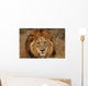 Close-up Big Male Lion Wall Decal