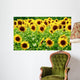 Sunflowers Wall Decal