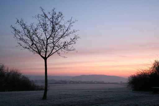 Onset Winter Wall Decal