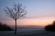 Onset Winter Wall Decal
