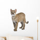 Puma Cub Front White Wall Decal