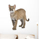 Puma Cub Front White Wall Decal