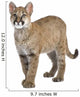 Puma Cub Front White Wall Decal