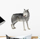 Mackenzie Valley Wolf 8 Wall Decal