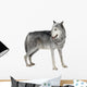 Mackenzie Valley Wolf 8 Wall Decal