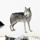 Mackenzie Valley Wolf 8 Wall Decal