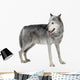 Mackenzie Valley Wolf 8 Wall Decal