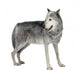 Mackenzie Valley Wolf 8 Wall Decal