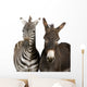 Zebra and Donkey Wall Decal