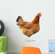 Chicken Wall Decal