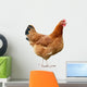 Chicken Wall Decal