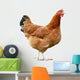 Chicken Wall Decal