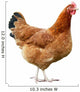 Chicken Wall Decal