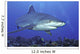 Shark Wall Decal Design 4