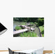 Botanical Gardens Bridge Wall Decal