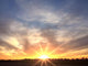 Bright Orange Horizon Sunrise Wall Decal