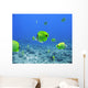 Brilliant Tropical Fish Wall Decal