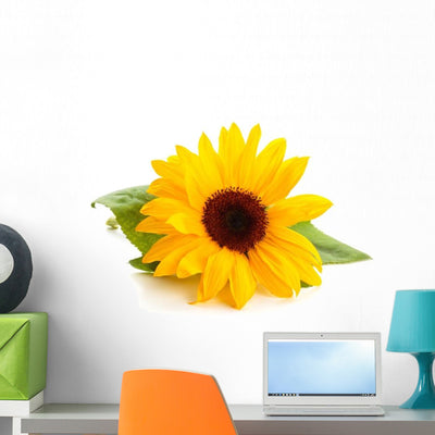 Sunflower with Leaves Wall Decal shown on a wall