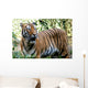 Tiger Spotted Thicket Wall Decal