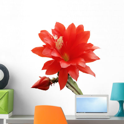 Blooming Orchid Cactus Wall Decal shown on a wall