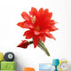 Blooming Orchid Cactus Wall Decal